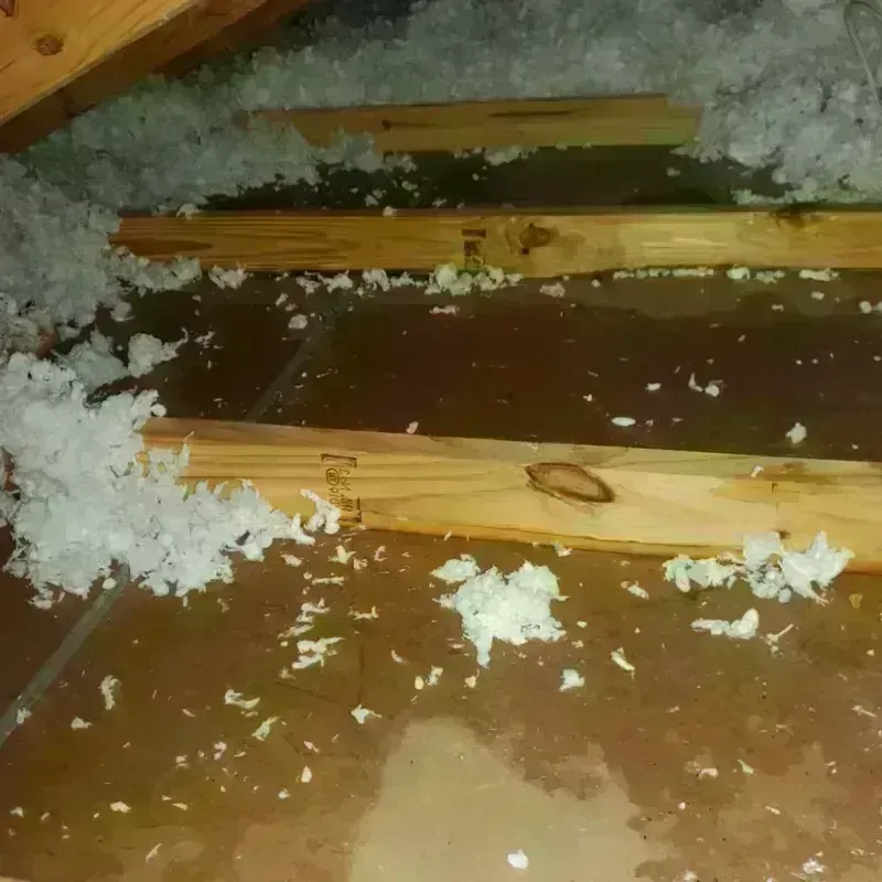 Attic Water Damage in Joshua Tree, CA