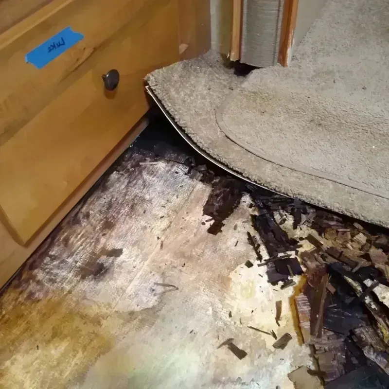 Best Wood Floor Water Damage Service in Joshua Tree, CA